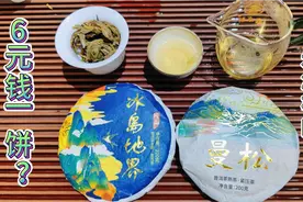 朋友约喝冰岛地界，普洱文一喝就说是台地茶，200克的茶只要6元？视频封面