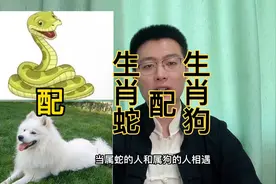 十二生肖速配详解：生肖蛇配生肖狗。快转给身边属蛇和属狗的人。视频封面
