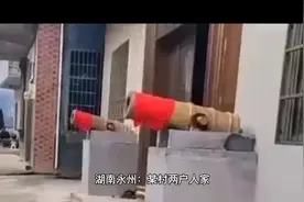 湖南永州：某村两对门邻居，因安放一对石头狮子和石头炮，火了！视频封面