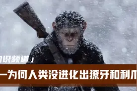 为何人类没有进化出獠牙利爪等有攻击性的器官呢？视频封面