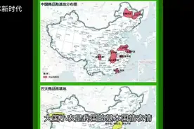 小农户与现代农业如何有效“牵手”？视频封面