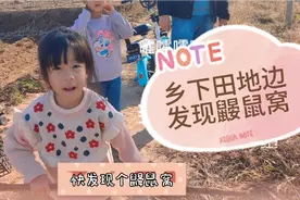 你见过鼹鼠么，今天发现一个地鼠窝，不知能否有幸看到真实的鼹鼠视频封面