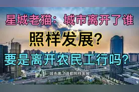 地球离开了谁照样转，城市离开了谁照样发展？离开了农民工行吗？视频封面