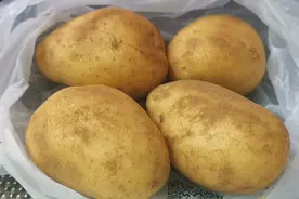 翻新土豆危害大，买土豆，辨别清楚再买，看完告知家人朋友