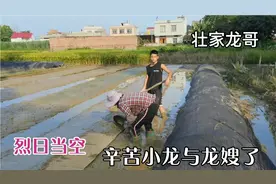 泡谷种主要时间与技术，龙哥用两天两夜浸泡与催芽，终于移入秧田