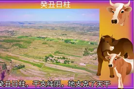 六十甲子日柱所含信息浅析视频封面