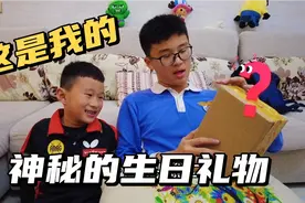 弟弟过7岁生日，宝妈送了啥神秘礼物？俩兄弟打开箱争抢着要视频封面