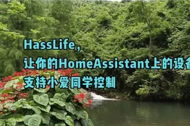 HassLife,让你的HomeAssistant上的设备支持小爱同学控制#Esp8266