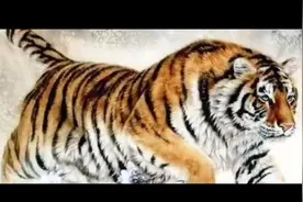 热情属虎人对待婚姻的状态  一起来看看吧视频封面