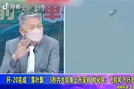 歼20反向落叶飘视频封面