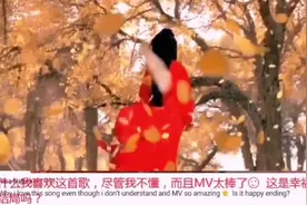 外国网友评论：中国音乐很美太神奇了，非常喜欢。视频封面