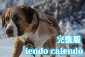 一首被狗带火的DJ神曲《lendo calendo》超然！听完荷尔蒙爆棚！