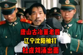 唐山古冶董老四，辽宁沈阳被打，杜成刘涌出面视频封面