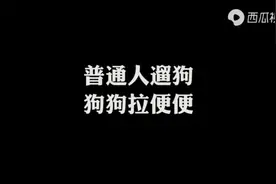 普通人VS霸道总裁遛狗拉便便