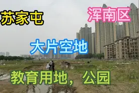 苏家屯浑南区交界处的大片空地，据说用来规划学校和公园，很棒。视频封面