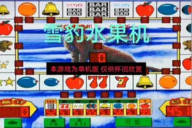 怀旧街机欣赏 雪豹水果机 中了X100的BAR视频封面