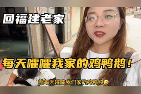 一回到福建老家，就每天嚯嚯我家的鸡鸭鹅！婆婆：没事，能吃是福