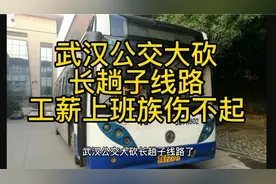 武汉公交大砍长趟子线路，工薪上班族伤不起视频封面