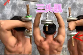 手臂大不大主要看三头肌、哑铃三头肌训练、一对哑铃在家练三头肌