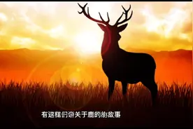 中国传统医学认为鹿肉属于纯阳之物，补益肾气之功为所有肉类之首