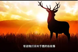 中国传统医学认为鹿肉属于纯阳之物，补益肾气之功为所有肉类之首视频封面
