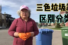 家里垃圾分类我负责，三色垃圾箱有分类，有机、回收和不可回收视频封面