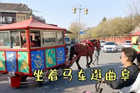 全国唯一一个马车可以正常上路的地方，大叔说32年从来没有追尾过视频封面