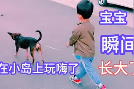 国庆节60后上海阿姨带3岁孙子游玩，宝宝瞬间长大了！游乐园免费视频封面