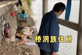 桥洞族为省房租住在桥底，住这里生活无压力，一辈子不用交房租视频封面