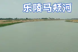 6月6日德州乐陵化楼镇马颊河情景，那时小麦即将成熟，河水满满！视频封面