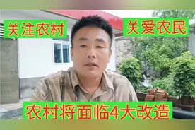 农村4个方面将面临大改造，农民生活迎来巨大的变化，农村会很香视频封面