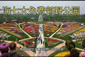 上海免费的其他郊野公园有哪些？休闲游玩好去处视频封面