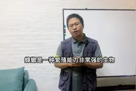 家里蟑螂总是灭不干净，反反复复，两个方法解决你的烦恼视频封面