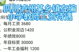 四川泸州某乡镇在编小学教师工资待遇
本科学历教龄10年中级职称视频封面