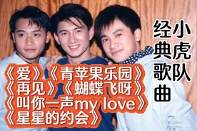 小虎队经典歌曲，90年代老歌，小虎队好听的歌，中视频计划，金曲