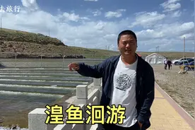 青海湖的湟鱼洄游，自然界的一大奇观，太神奇了！