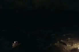 天下之大，无奇不有视频封面