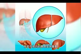 养肝“高手”被发现，不是胡萝卜，敞开吃，冲走肝毒，肝更强壮视频封面