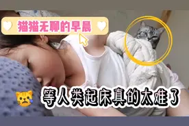 猫咪每天等人类起床的日子…太难了，还被人类幼崽强迫睡觉视频封面