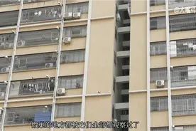 散养不管理的鸽子，成群结对在附近高楼筑巢繁殖，数量越来越多…视频封面