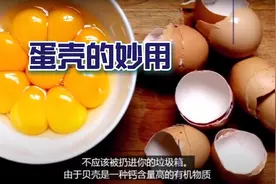 蛋壳的妙用视频封面