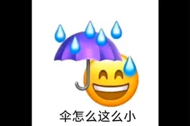 无语专用表情包视频封面