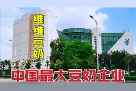 实拍中国最大豆奶企业，徐州维维集团，连续10多年销量第一！视频封面