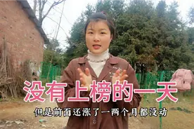 农村姑娘养猪，猪价忽高忽低，今天卖了16头大黑猪是挣钱还是赔钱视频封面
