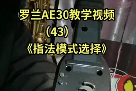罗兰AE30电吹管教学（43），《指法模式选择》。
