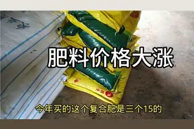 肥料价格大涨，尿素上涨45%碳酸氢铵涨幅57%复合肥直接一包涨50元视频封面