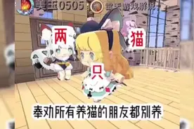 所有养猫的人都别养两只猫🌚视频封面