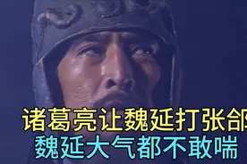 诸葛亮想让魏延出战张郃，魏延低头不语，是魏延害怕张郃吗？视频封面
