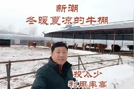 养殖业养牛羊的新型棚，冬暖夏凉一棚两用，投入少值得借鉴视频封面