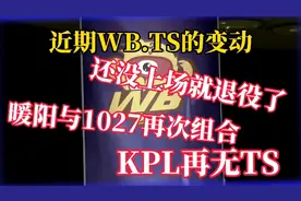 从此KPL再无TS